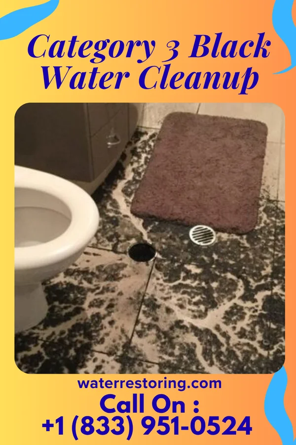 Category 3 Black Water Cleanup in Mount Carmel, IN