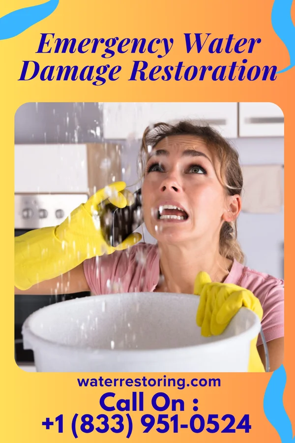 Emergency Water Damage Restoration in Mount Carmel, IN