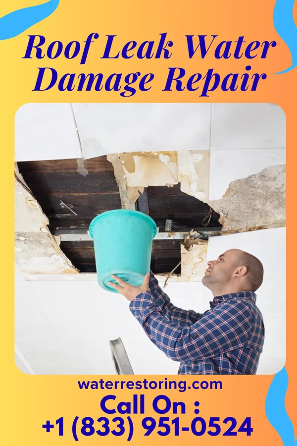 Roof Leak Water Damage Repair in Mount Carmel, IN