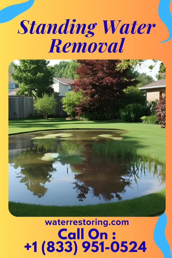 Standing Water Removal in Mount Carmel, IN